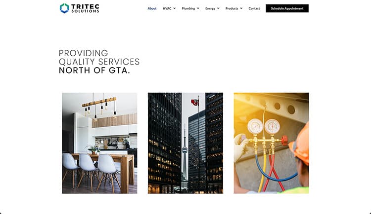 Tritec Solutions screen 2