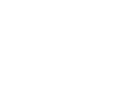 Lieber Group logo
