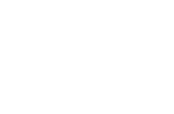 Perfec-tone logo